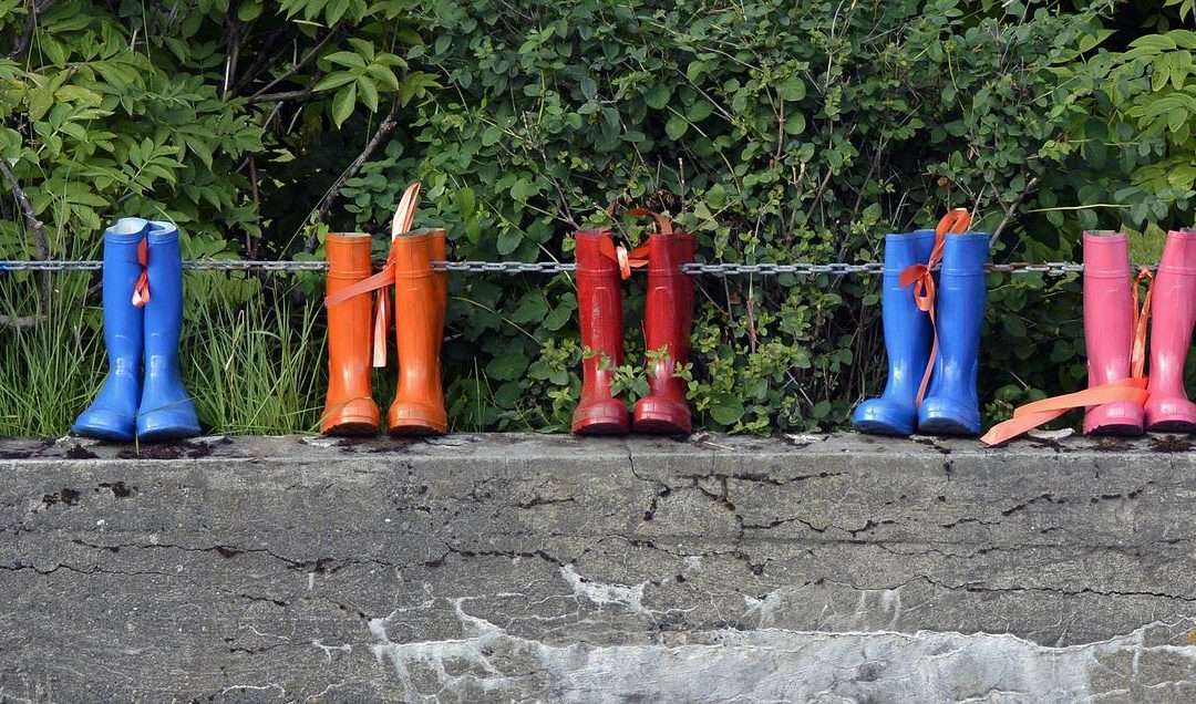 We Are The Wellies