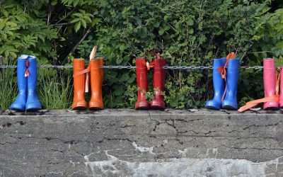 We Are The Wellies